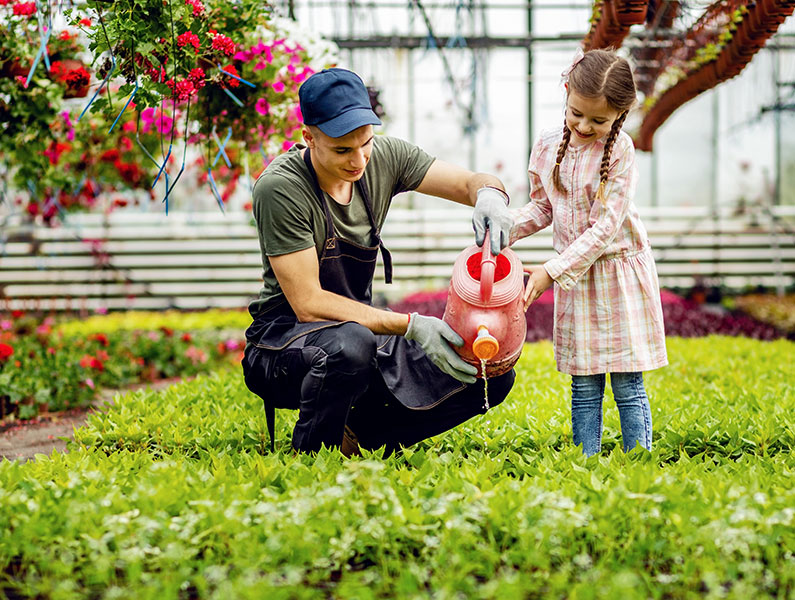 lawn care bonita springs