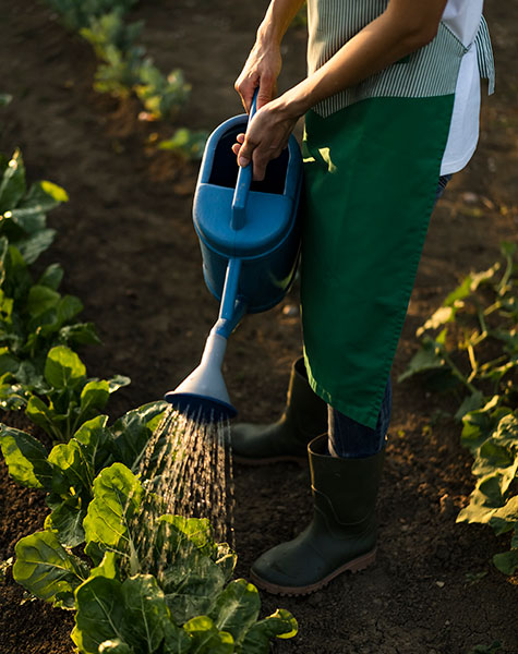 lawn care bonita springs southwest quality lawn