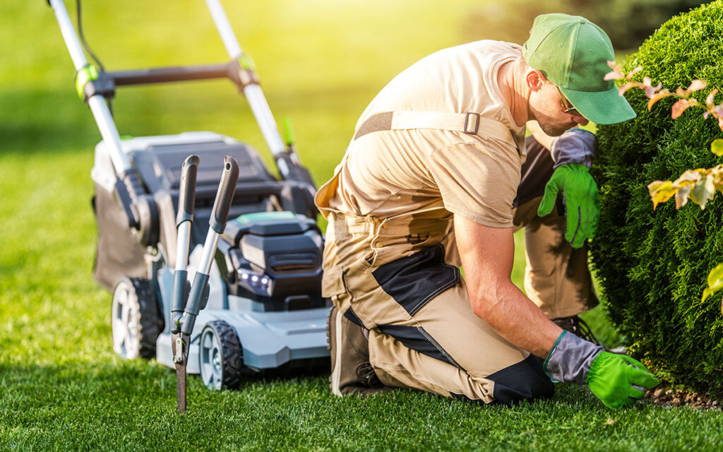 lawn mowing bonita springs
