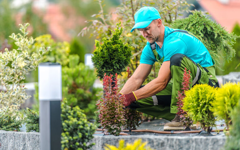 lawn care company in bonita springs