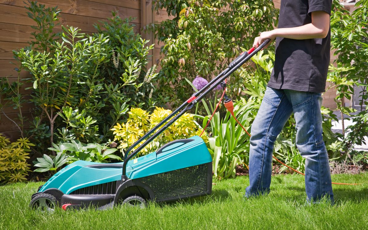 Best Lawn Care Companies Naples fl