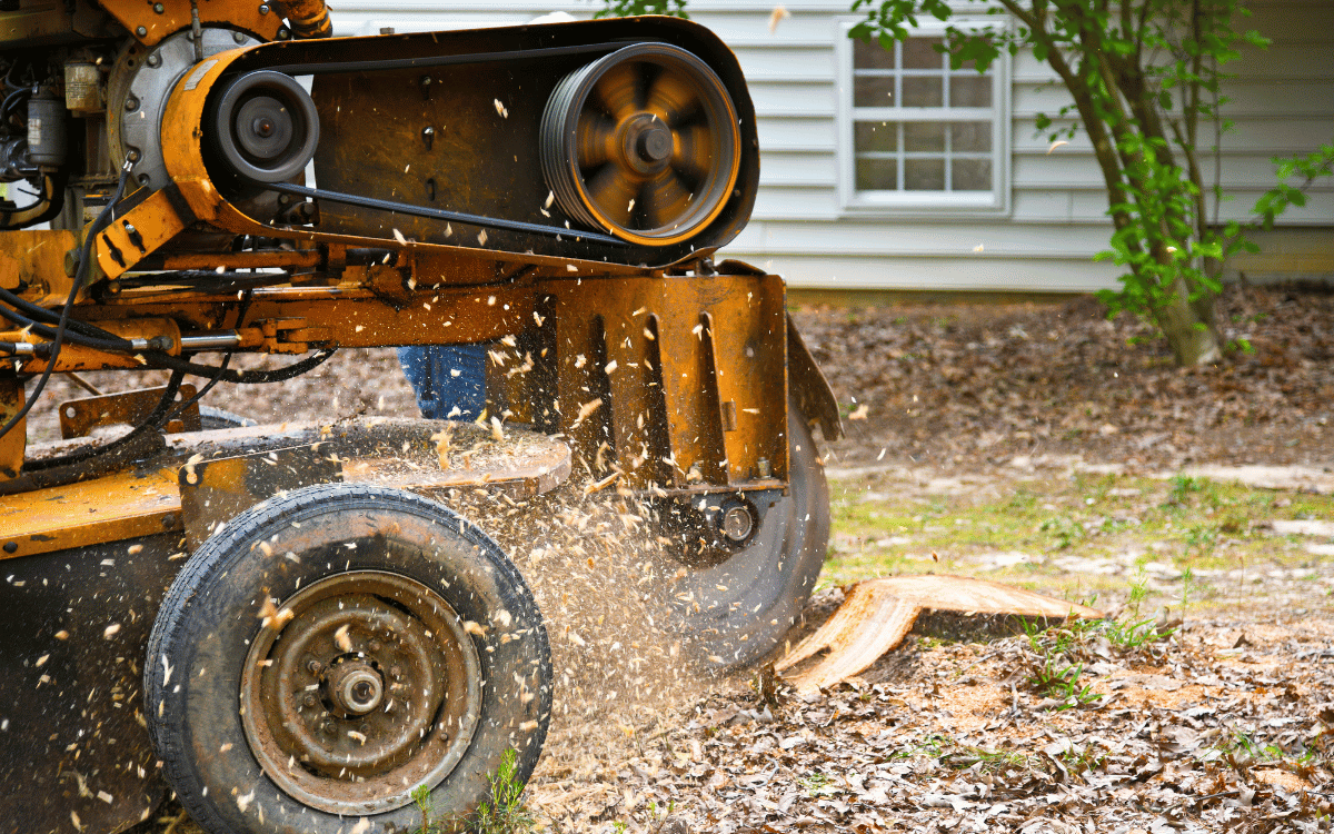 Bonita Springs Stump Removal