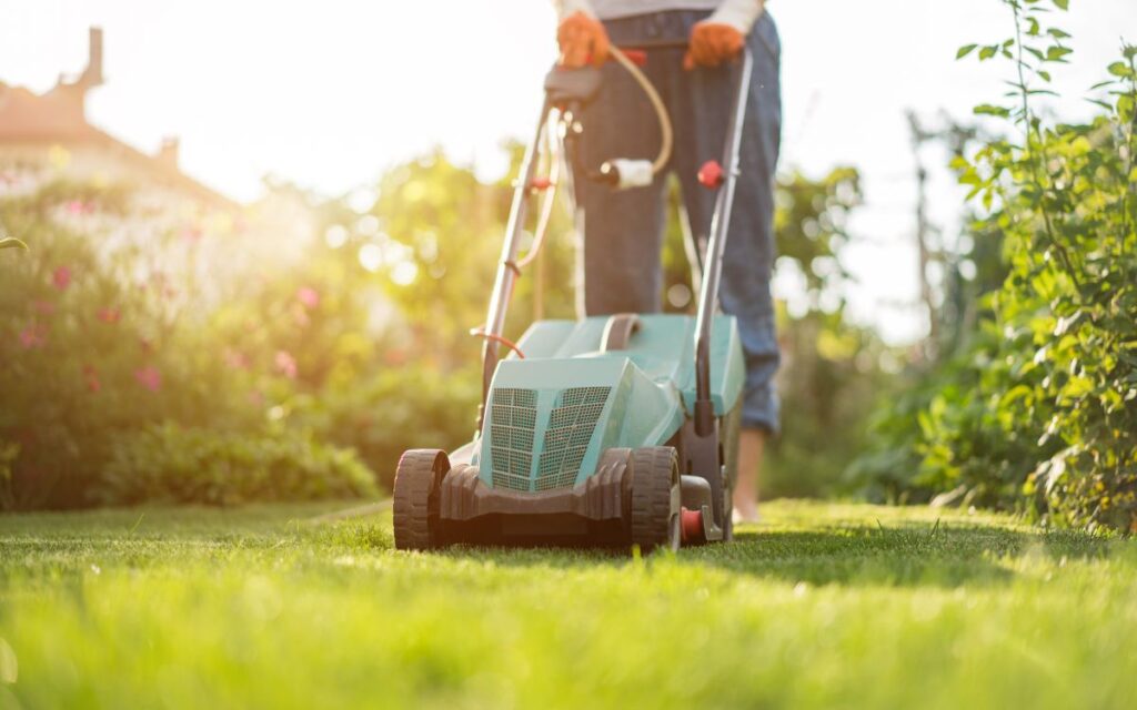 Commercial Lawn Maintenance Ft Myers