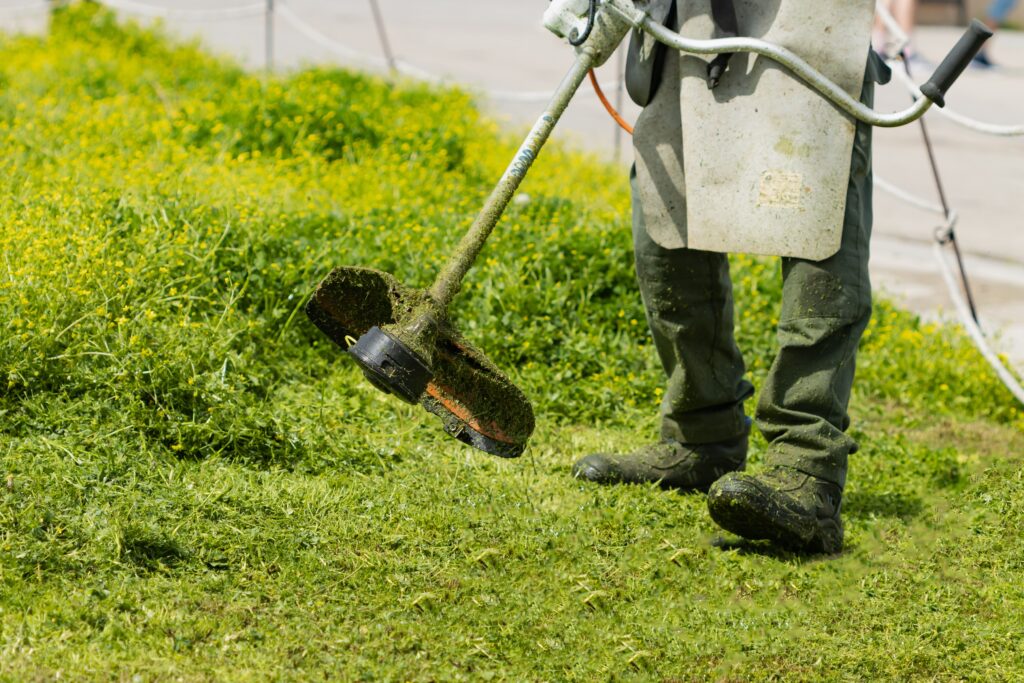 Non-recognizable gardener mowing grass with string trimmer.