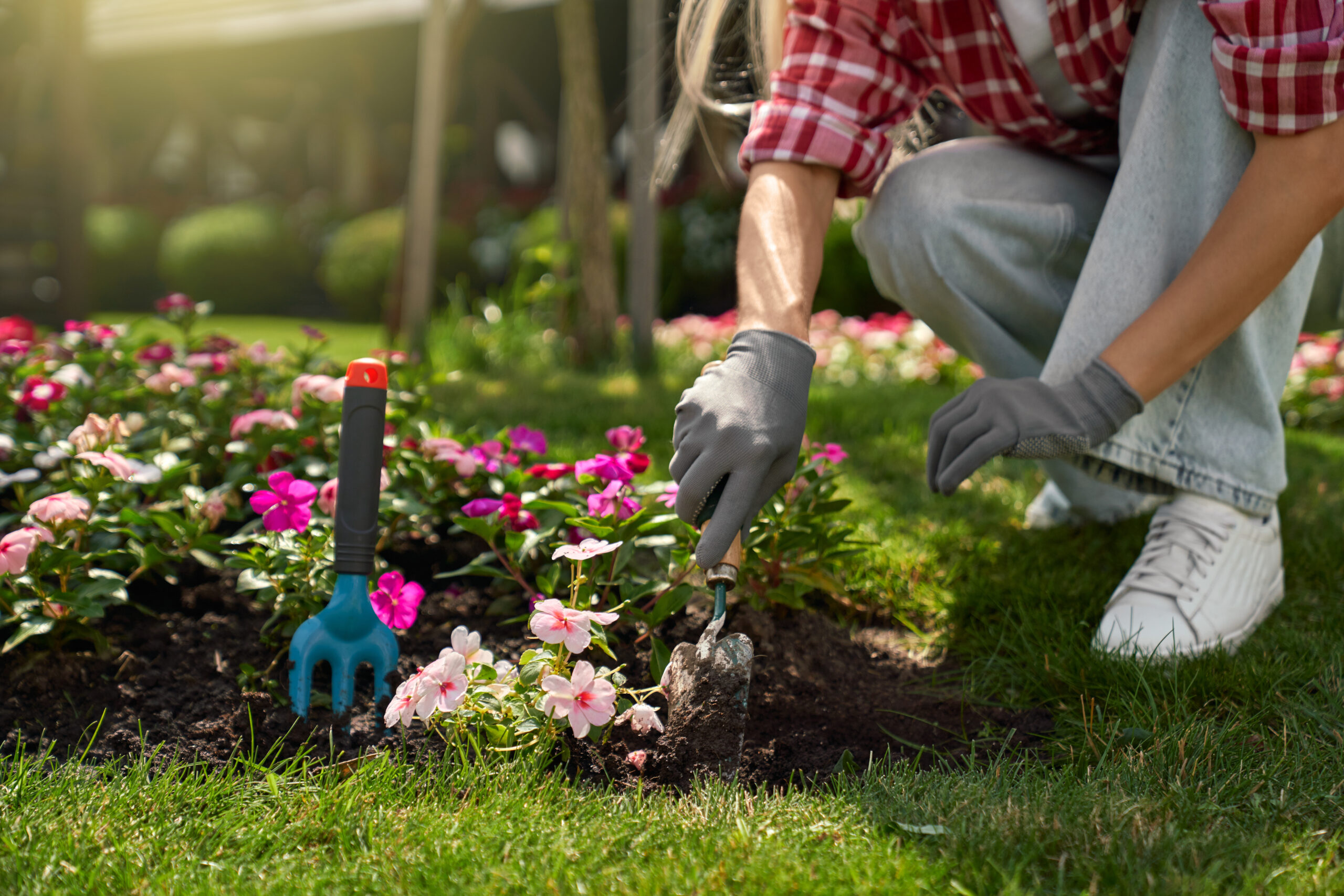 Close up of young woman in gloves using gardening tools for planting flowers on back yard. Young woman in casual clothes enjoying work at summer garden.