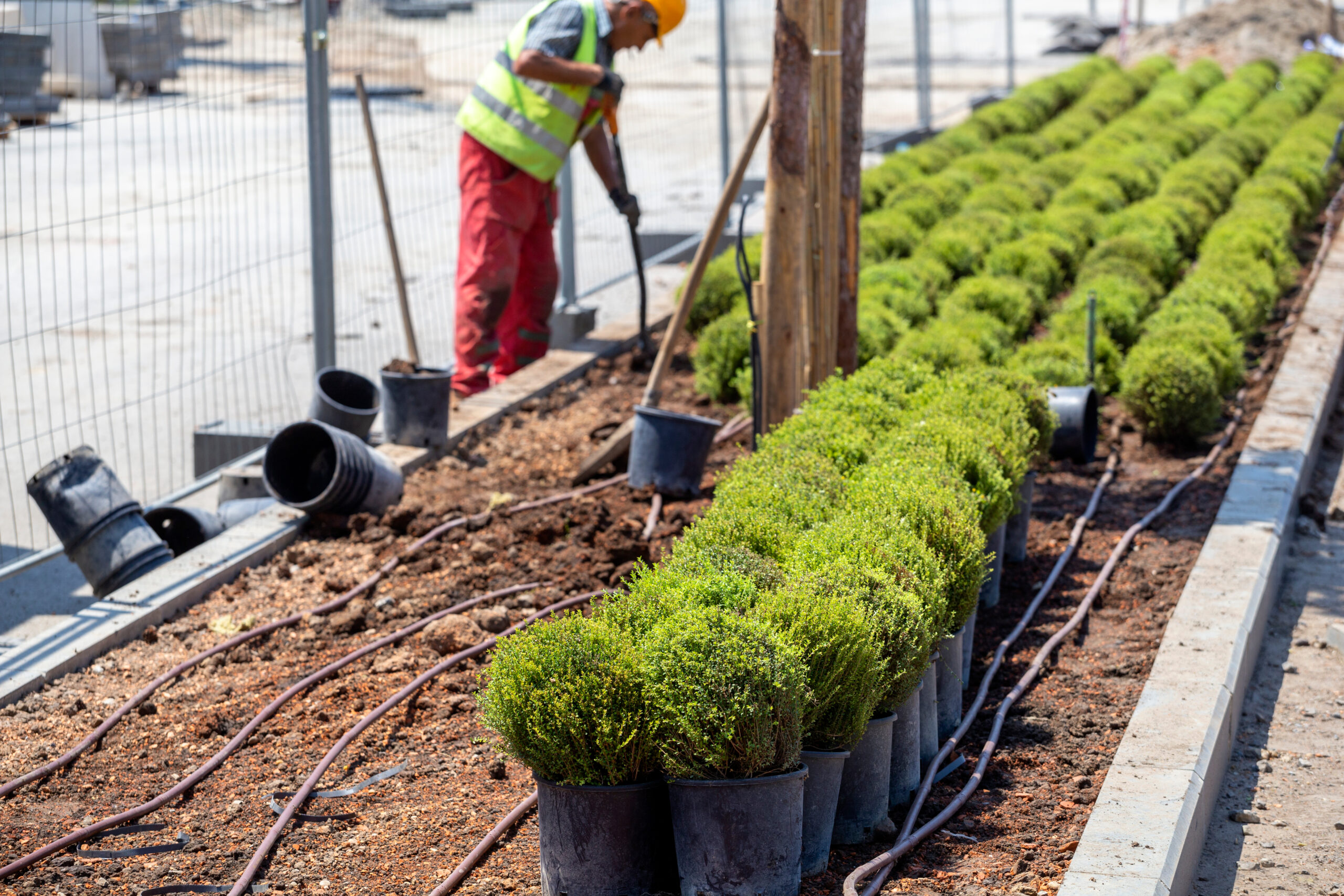 gardener-worker-planting-in-a-city-park-taking-ca-2026-03-26-07-28-13-utc
