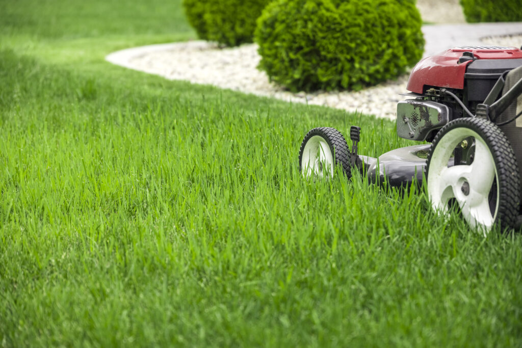 Lawn mowing service Bonita Springs FL