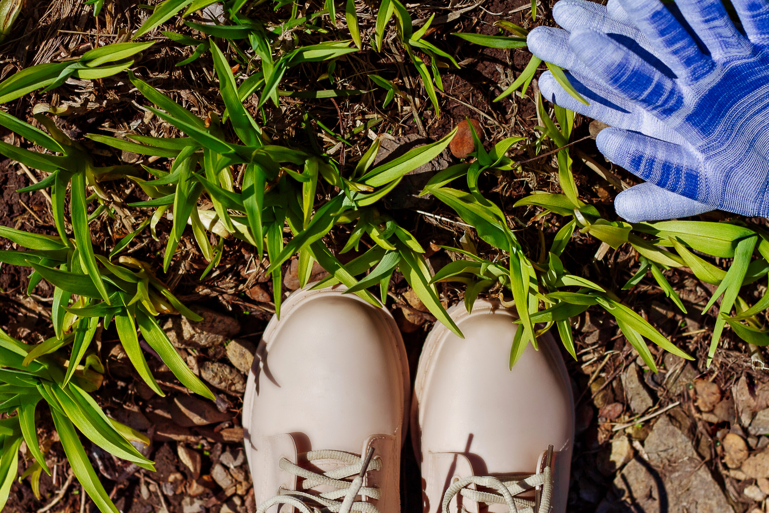 Top view on beige rubber boots, protective garden gloves. Green grass background. Concept of garden work