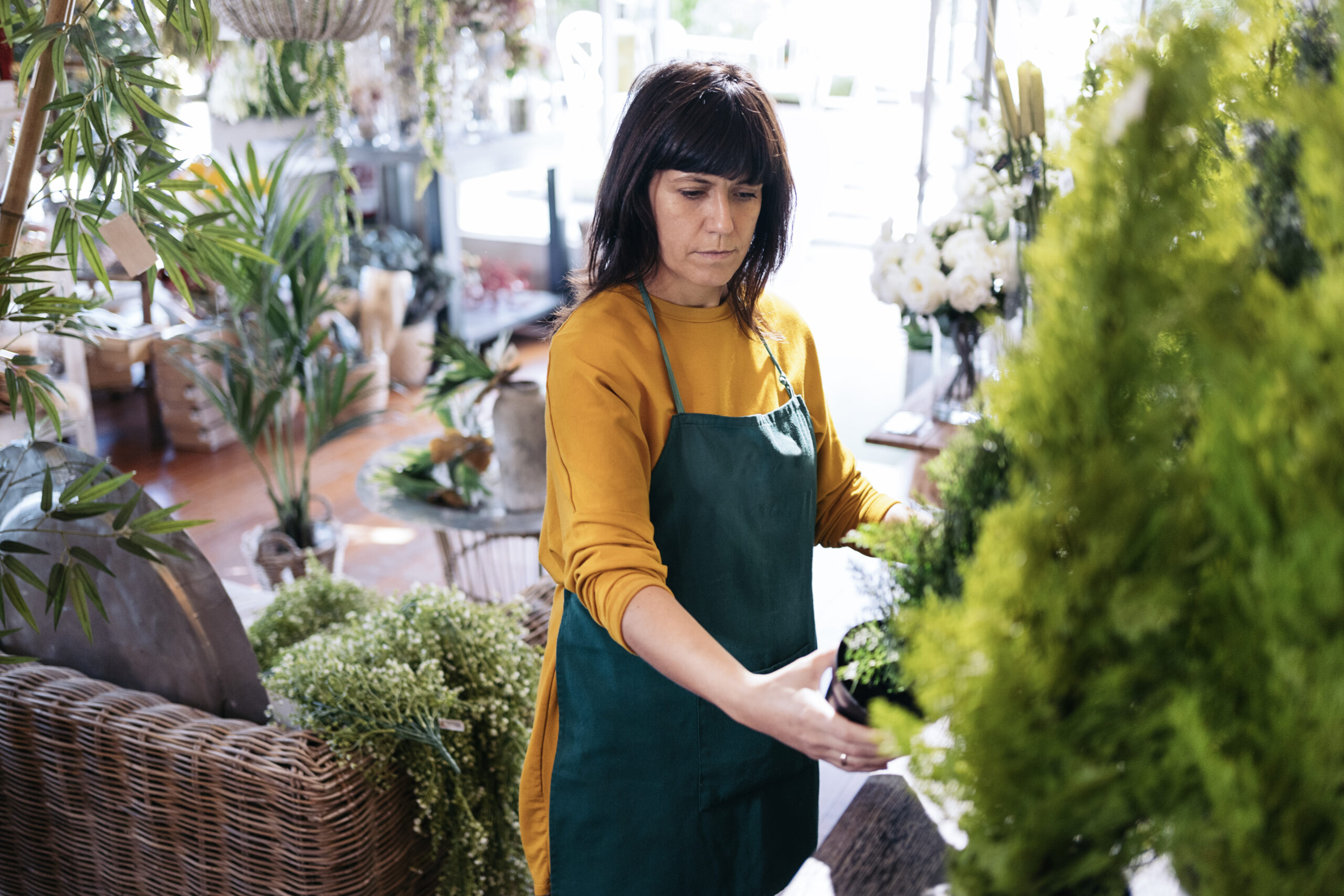 Stock photo of adult woman taking care of flowers and plants in flower shop.