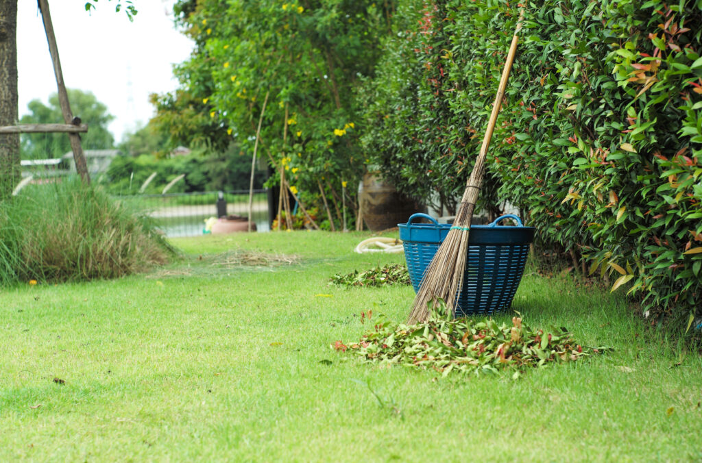 Yard cleanup