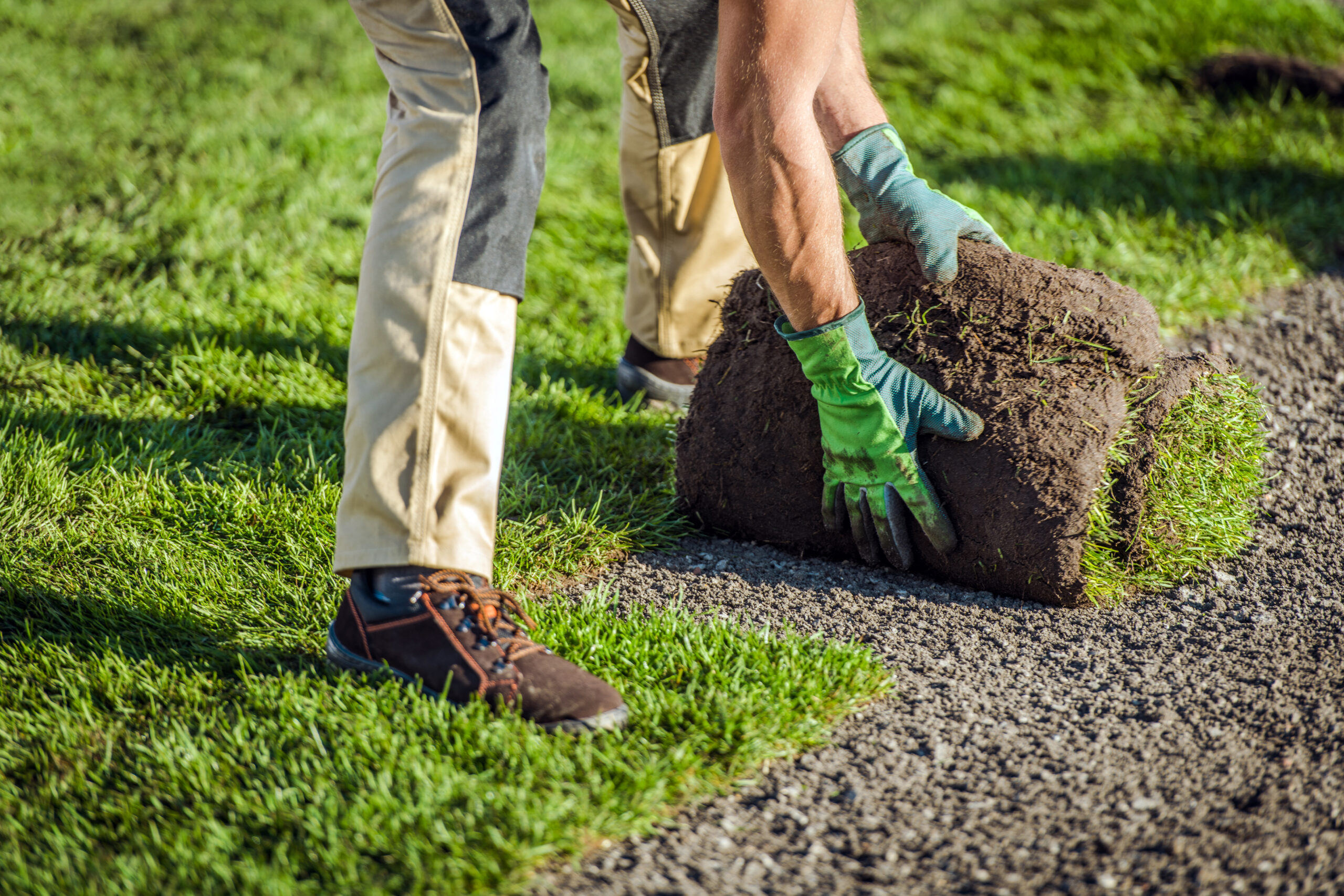 Caucasian Landscaping Worker and Natural Grass Turfs Installation Inside Garden. New Grass Lawn.