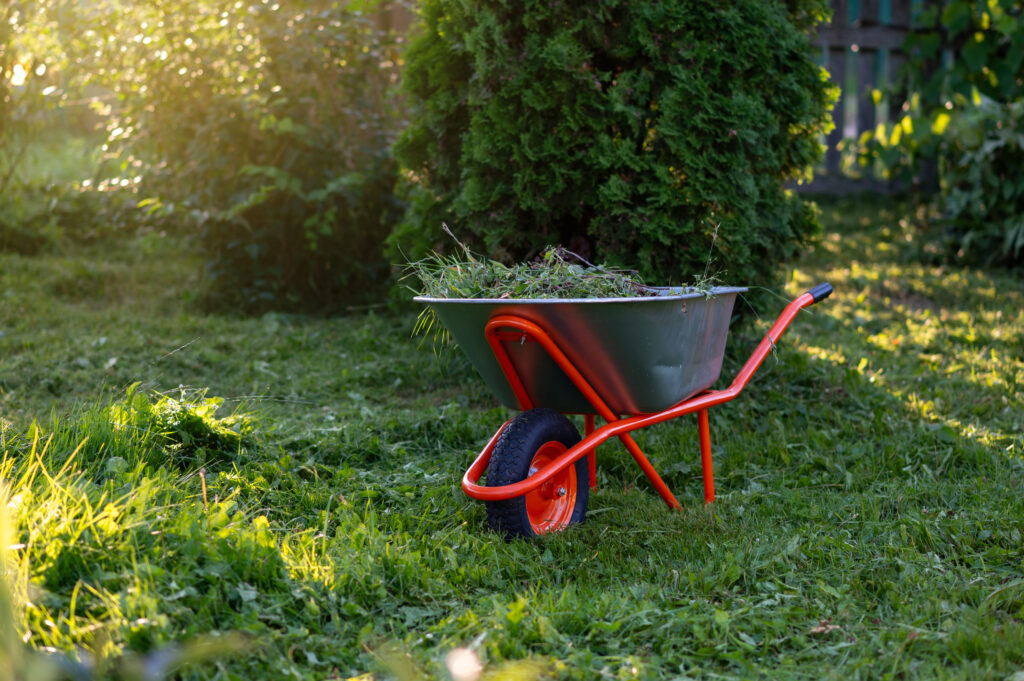 lawn care service